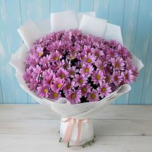 Букет цветов из:  Хризантемы в Ильинское-Хованское