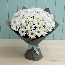 Букет цветов из:  Хризантемы в Ильинское-Хованское