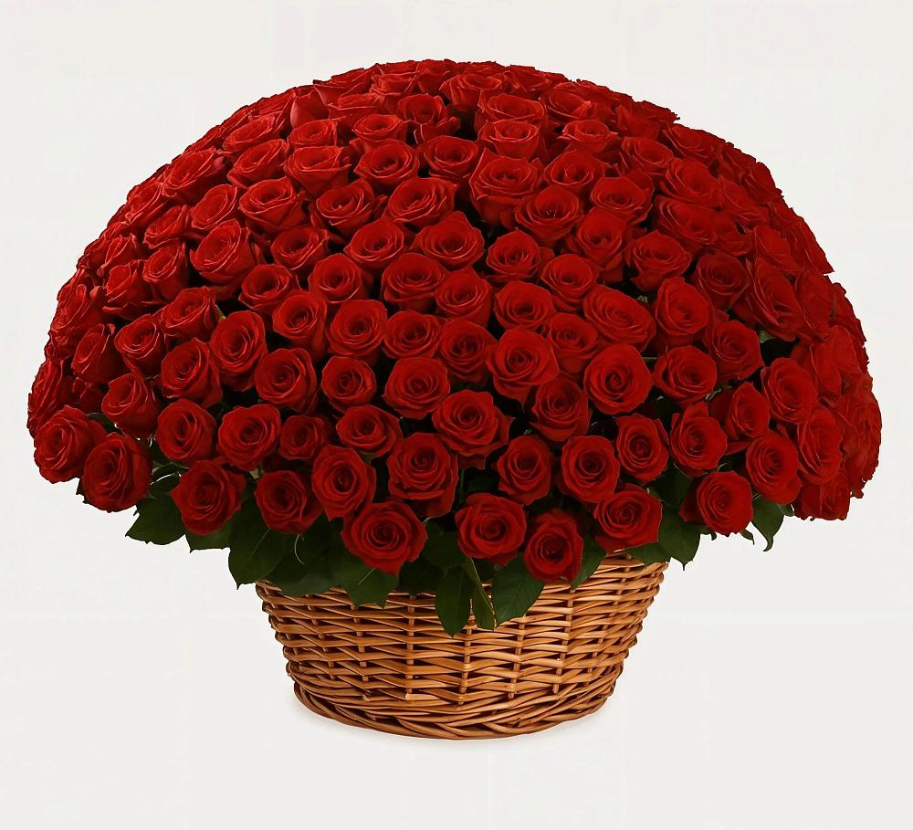 Премиум букет из: Розы в Ильинское-Хованское