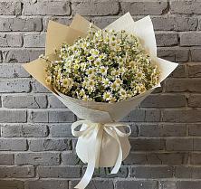 Букет цветов из:  Ромашки в Ильинское-Хованское