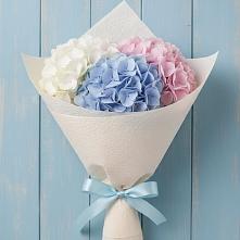 Букет цветов из:  Гортензия в Ильинское-Хованское