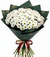 Букет цветов из:  Хризантемы #REPLACE_PRED# Ильинское-Хованское