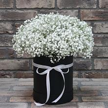 Цветочная композиция из Гипсофила в шляпной коробке в Ильинское-Хованское