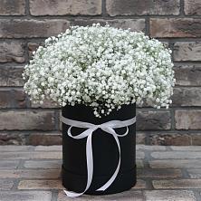 Цветочная композиция из Гипсофила в шляпной коробке в Ильинское-Хованское